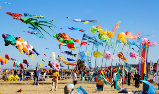 ARTEVENTO CERVIA 2025