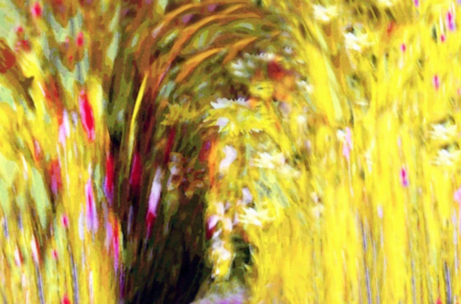 LE TEMPLE DES R#202;VES